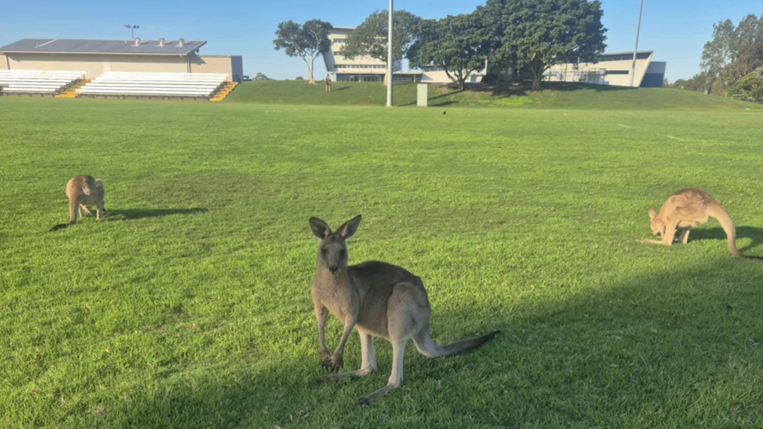 Sunshine Coast XC 2025